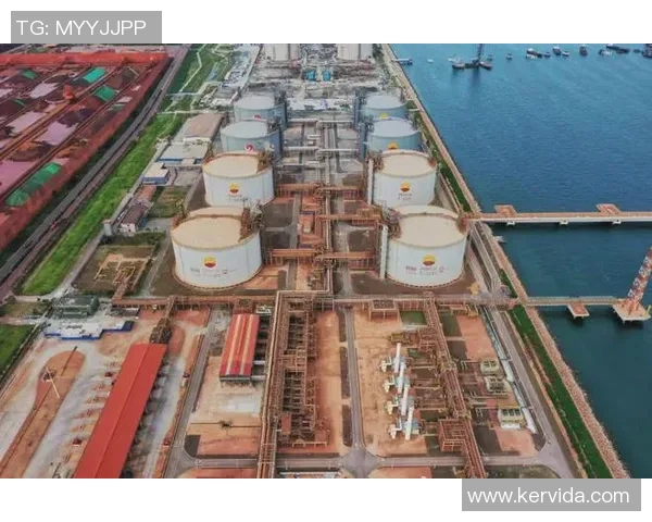 LNG在冠军杯中的强势表现解析与战术深度剖析 LNG在冠军杯中的强势表现解析与战术深度剖析