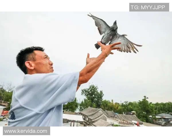 北京乒乓球队逆袭之旅揭秘:从低谷到巅峰的奋斗故事与荣耀时刻 北京乒乓球队逆袭之旅揭秘:从低谷到巅峰的奋斗故事与荣耀时刻