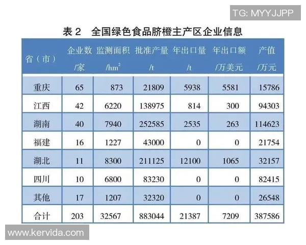 南京排球队灵活性探讨与发展策略分析 南京排球队灵活性探讨与发展策略分析