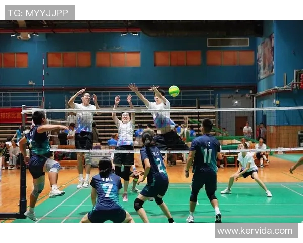 广州排球队技术分析与战术创新的深度探讨与展望