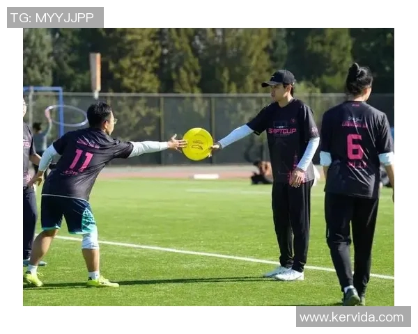 飞盘技术实力排行榜揭晓各队表现一览无余