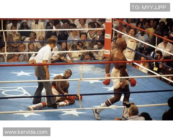 拳王威尔德强势回归挑战华盛顿赛场争锋再掀拳击热潮