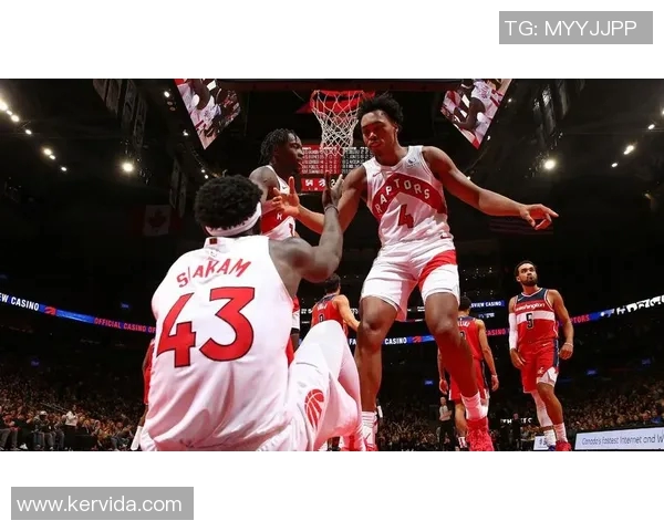 2019年2月14日NBA猛龙队与奇才队精彩对决回顾与分析