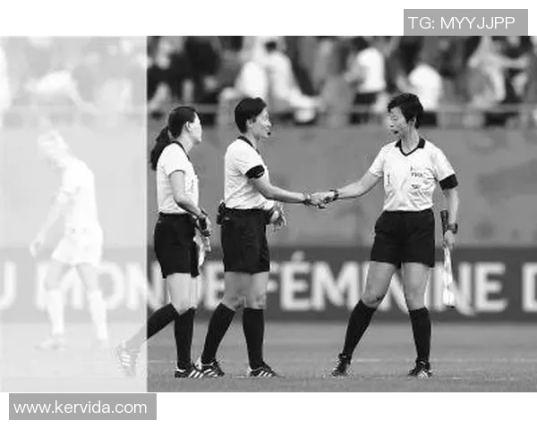 德国与喀麦隆比赛主裁判的执法表现分析与讨论