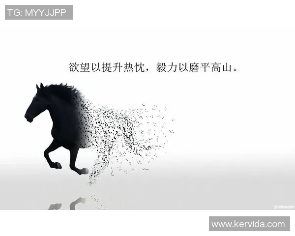 谢什科的传奇人生与不屈精神探讨:从足球场到人生舞台的启示