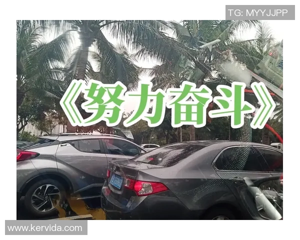 张帆：从平凡到卓越的奋斗历程与人生启示