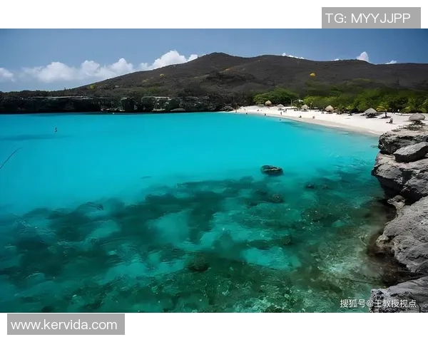 探索阿拉巴的文化魅力与自然风光,揭示这片土地的独特故事与人文底蕴