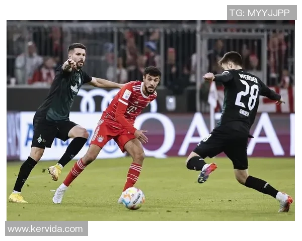 拜仁慕尼黑与不莱梅精彩对决回放全程回顾与分析