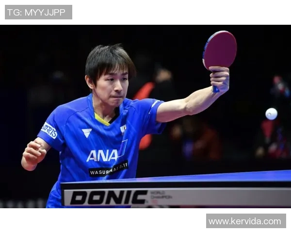 从零基础到高手之路乒乓球技巧与状态全面提升指南