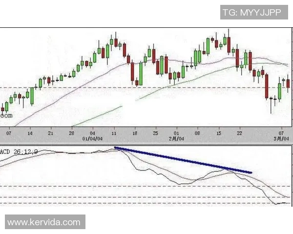武汉篮球队与重庆篮球队赛后技术分析与战术复盘探讨