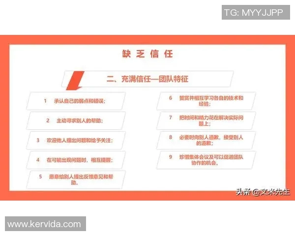 上海排球队团队协作的创新与变革引发热议