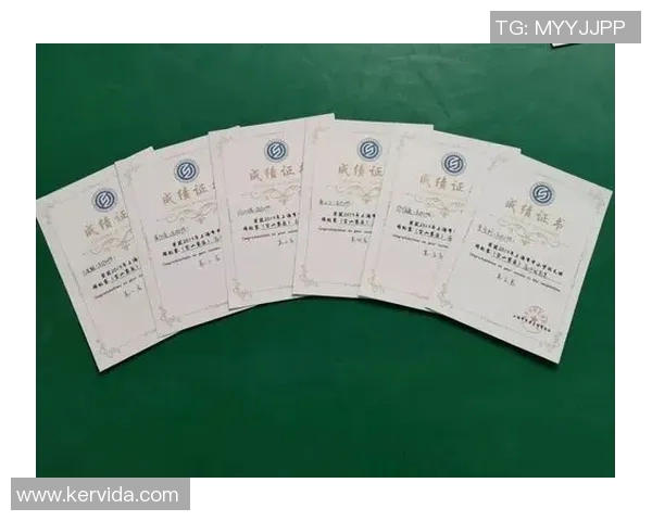 上海羽毛球队在锦标赛中的战术分析与表现评估